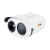 iCAM003 Body Temperature Measurement Camera, by iELV Inc. with Face Recognition NVR, Blackbody and Tripod